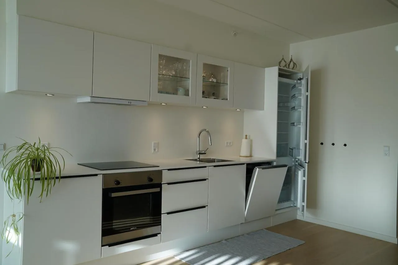Apartamento Aalborg Limfjorden Udsigt Nørresundby 0*,